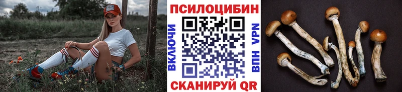 МЕГА маркетплейс  Гаврилов Посад  Псилоцибиновые грибы Cubensis  продажа наркотиков 